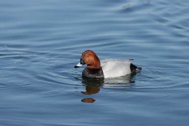 Similar image 21667236