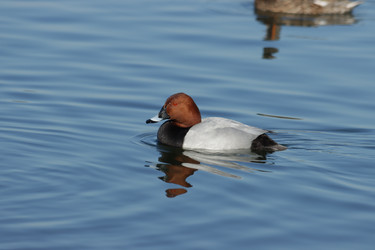 Similar image 21667237