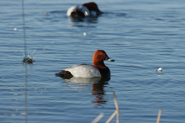 Similar image 21667238