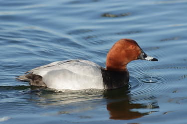 Similar image 21667239