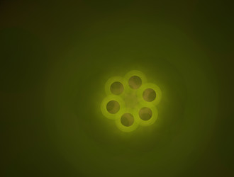 Similar image 21666702