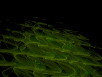 Similar image 21666705