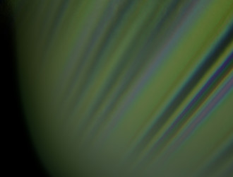 Similar image 21666241