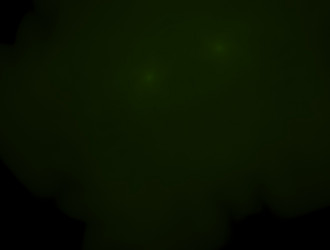 Similar image 21667047