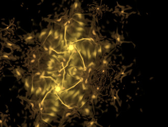 Similar image 21666373