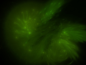 Similar image 21666765