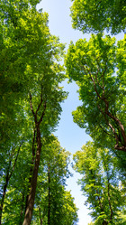 Similar image 21674471