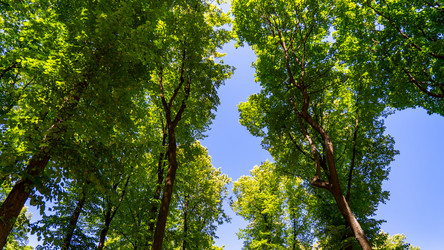 Similar image 21674521