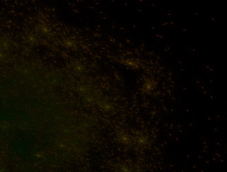 Similar image 21665180