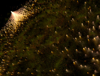 Similar image 21665187