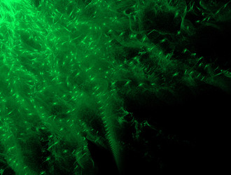 Similar image 21666396