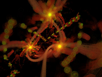 Similar image 21665208