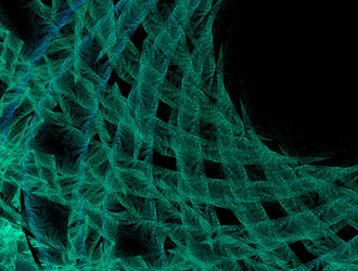 Similar image 21664918