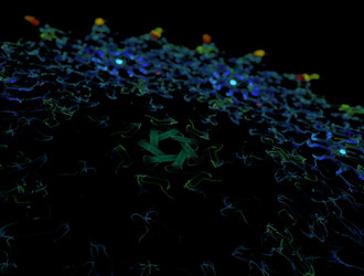 Similar image 21664919