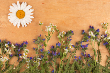 Similar image 21682242