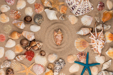 Similar image 21682247