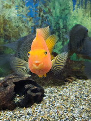 Similar image 21665372