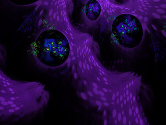 Similar image 21666104