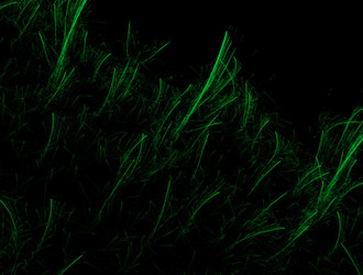 Similar image 21666807