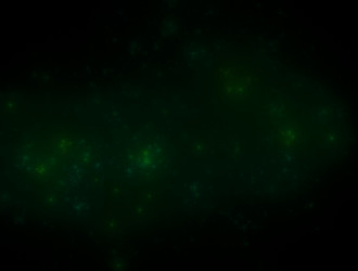 Similar image 21666813