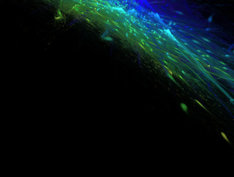 Similar image 21666838