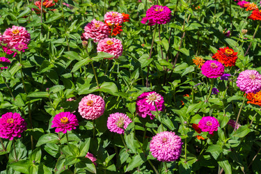 Similar image 21672202