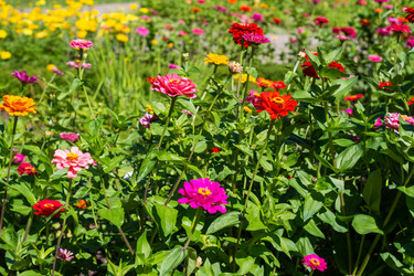 Similar image 21667939