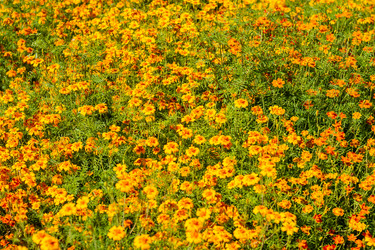 Similar image 21667940