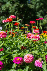 Similar image 21672203