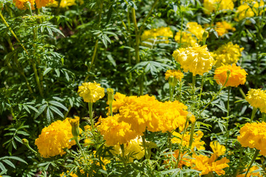 Similar image 21667941