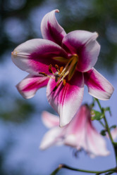 Similar image 21663061