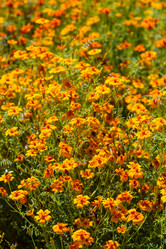 Similar image 21667942