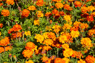 Similar image 21667943