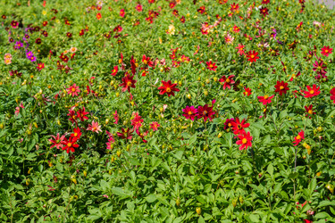 Similar image 21667944