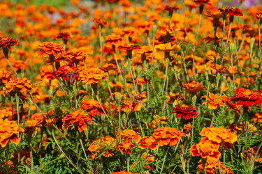 Similar image 21667946