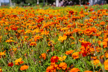 Similar image 21667947