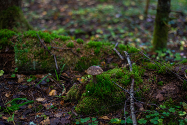 Similar image 21667948