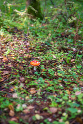 Similar image 21664010