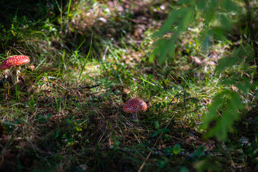 Similar image 21664012