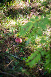 Similar image 21664013