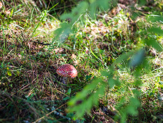 Similar image 21664015