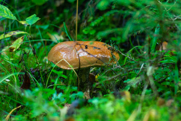 Similar image 21663065