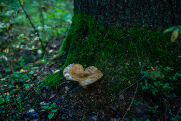 Similar image 21667949