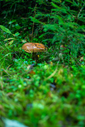 Similar image 21663066