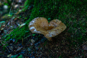 Similar image 21667950