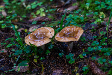 Similar image 21667952