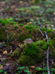 Similar image 21664016