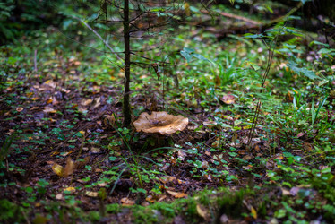 Similar image 21667954