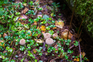 Similar image 21664017