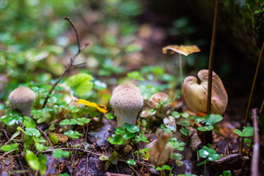 Similar image 21664018